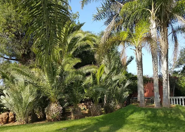 Palmeraie Skhirat1