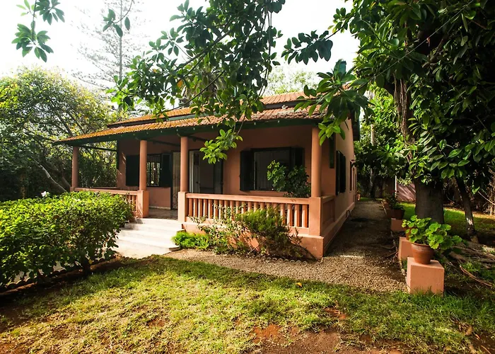 Charmante Maison 2Ch Et Bungalow 2Ch Au Coeur De L'Oasis